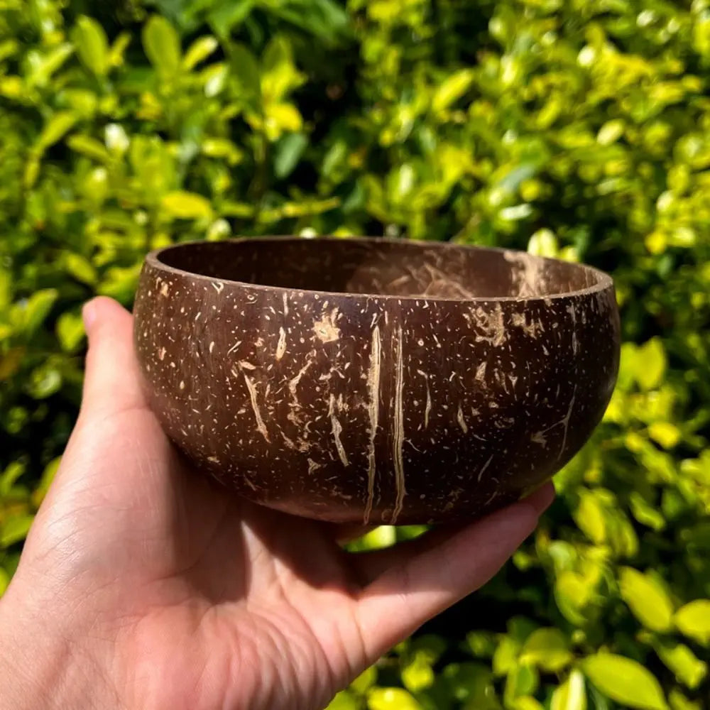 Natural Coconut Bowls