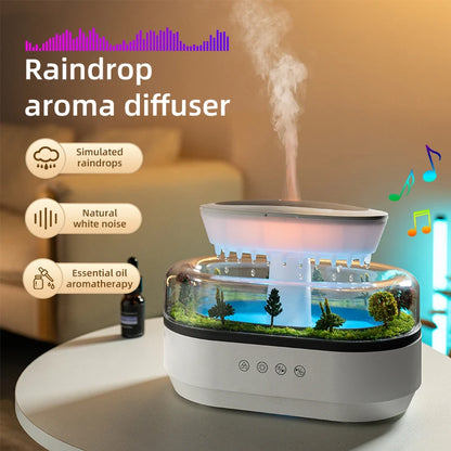 Rain Cloud Ultrasonic Serenity Diffuser